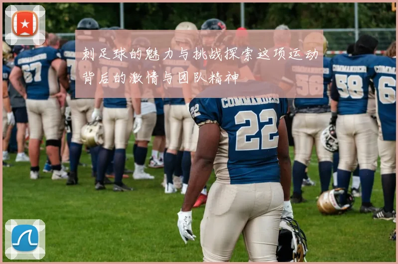 刺足球的魅力与挑战探索这项运动背后的激情与团队精神