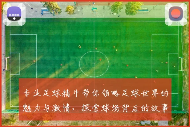 专业足球精牛带你领略足球世界的魅力与激情，探索球场背后的故事与技术分析
