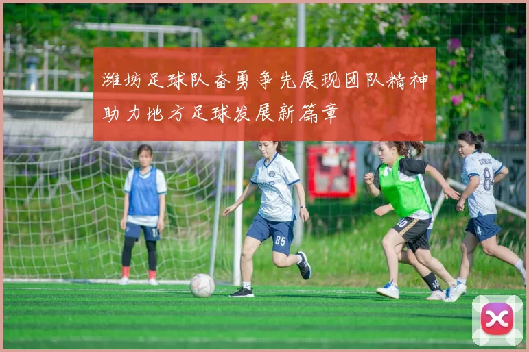 潍坊足球队奋勇争先展现团队精神助力地方足球发展新篇章
