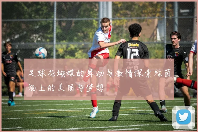 足球花蝴蝶的舞动与激情探索绿茵场上的美丽与梦想